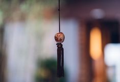 Others 7 Guanzhi · Cuimo Hostel
