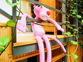 기타 4 Fanjing Inn