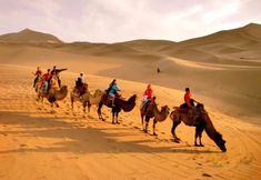 其他 5 Dunhuang Moguest Desert Camping Reception Center