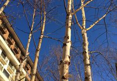 Others 2 37 Degree Water Town Holiday Villa (Beijing Gubei Changcheng Yuanzhu)