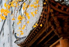 อื่นๆ 4 Chengdu Blue City Yuexing Hot Spring &Food Hotel