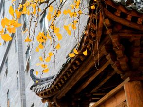 อื่นๆ 4 Chengdu Blue City Yuexing Hot Spring &Food Hotel