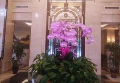 Khác 7 Beautiful Sky Hotel