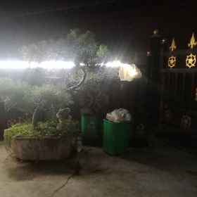 Others1Tianshui Ocean Manor (Maijishan Grottoes),清水县飯店