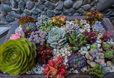 Others 7 Huahaige Inn