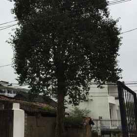 Hotel Exterior 1 莱顺イン、泸县, 黄山 ホテル