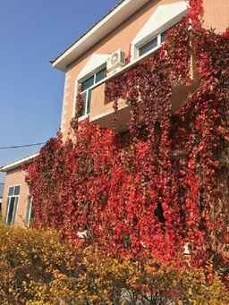 Jingpo Renjia Hotel, THB 2,043.89
