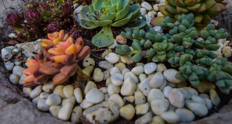 Others 2 Huahaige Inn