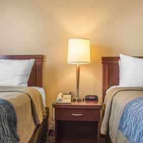 Others 1 คอมฟอร์ต อินน์, โรงแรม & ที่พัก Museum London