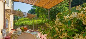 อื่นๆ 2 Alba