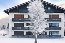 Others Dachstein Top 2