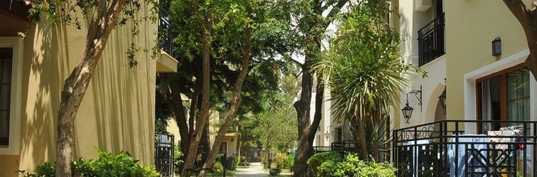 其他 Selectum Colours Side