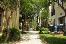 其他 Selectum Colours Side