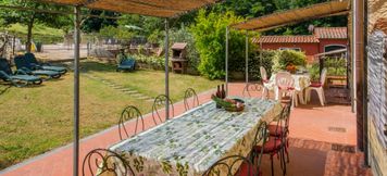 อื่นๆ 3 Alba