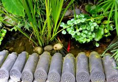 기타 6 BLOOMING INN