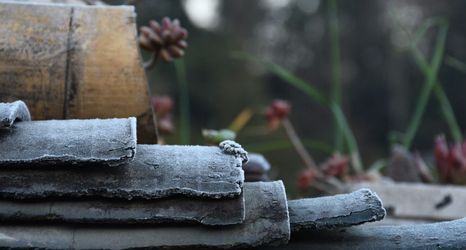 その他 2 Dongzhai Caomu Dye Homestay