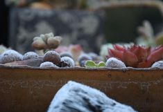 その他 5 Dongzhai Caomu Dye Homestay