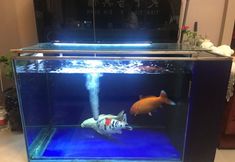 Others 4 Tianxia Guest Hotel (Jilin Star Store)