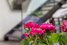 Others Suzhou larny Holiday Homestay (Guanqian Street Yuxiang Branch)