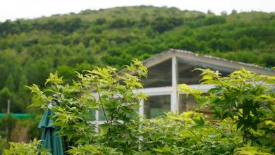 Lainnya 4 Yan'an Swallow Flower House