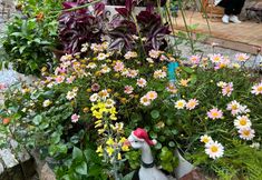 その他 7 Xiapu Donghai No. 1 Line Haizhijie Homestay