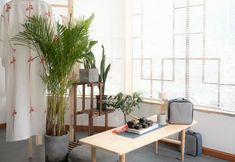 その他 7 Mountain View Homestay