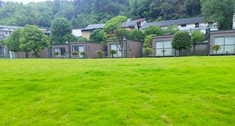 その他 2 Zhangjiajie Shiyin Campsite