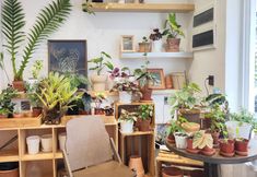 Lainnya 4 Listen to the mountain