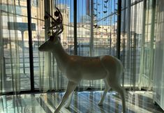 Others 7 Orange Hotel (Shanghai Bund Sichuan North Road)