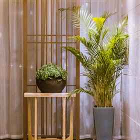 Hotel Interior/Public Areas1Jiaotou Jiangyue Hotel,襄城区飯店