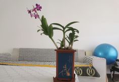 Others 6 Haikou Meet Homestay (Hainan University)