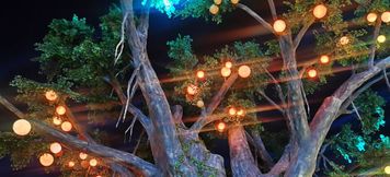 Khác 3 Vienna Hotel (Qingzhou Ancient City)