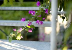 Others 3 Wuyishan Biock Homestay