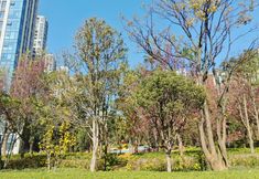 其他 6 Huayu Yujian Homestay (Guangfu Road)