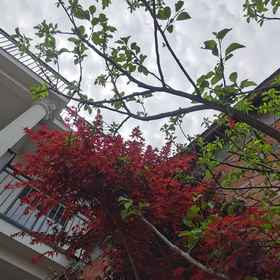 Hotel Exterior1Nanjing My Media Wild Luxury Villa,下关区飯店