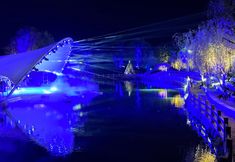 Others 2 Rooftop Flower Stream Ink B&B