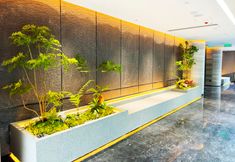 Others 7 Qingyun Jinsha Lake Resort Hotel