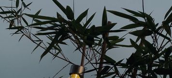 อื่นๆ 2 Jinyun Tenglou Mountain Hotel