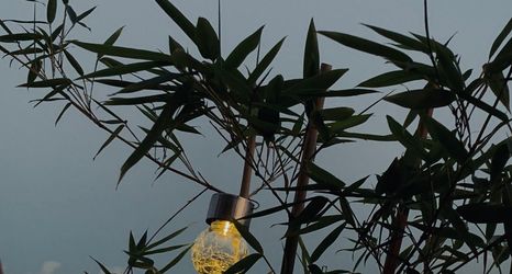 อื่นๆ 2 Jinyun Tenglou Mountain Hotel