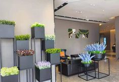 Others 4 Homeinn Selected Hotel (Qingdao May Fourth Square Hong Kong Middle Road Olympic Sailing Store)