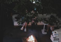 Others 7 Boutique Inn