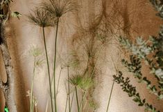 Khác 2 Dali Ancient City Muxiang Homestay