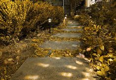 Others 7 Yueting Nanshe (Kunming Changshui International Airport)