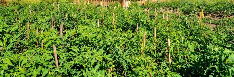 Others Hanyu Lefu Hotel (Fuyun Binhe Park)