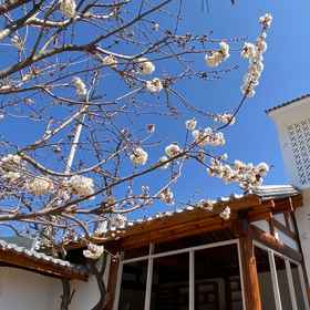 Hotel Exterior1Shaxi Cantata Music Cafe B&B,剑川县飯店