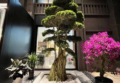 기타 4 Jintang Chaoshell Baopo Hotel