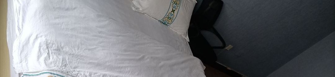 其他 Shuxin Homestay