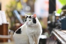 อื่นๆ Dali Lingquanxi Faraway Home Inn (Erhai Ecological Corridor S Bay Branch)