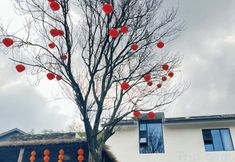 Others 3 Yibanshanye Anzhiruosu