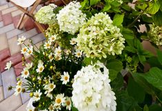 기타 7 Beijing Hexu Family Family Holiday Beauty Suite (Beijing Tongzhou Global Resort Subway Station)